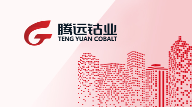 年處理30000噸廢舊鋰電池綜合回收利用項目試生產(chǎn)報告