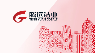 2025年11月環(huán)保公示